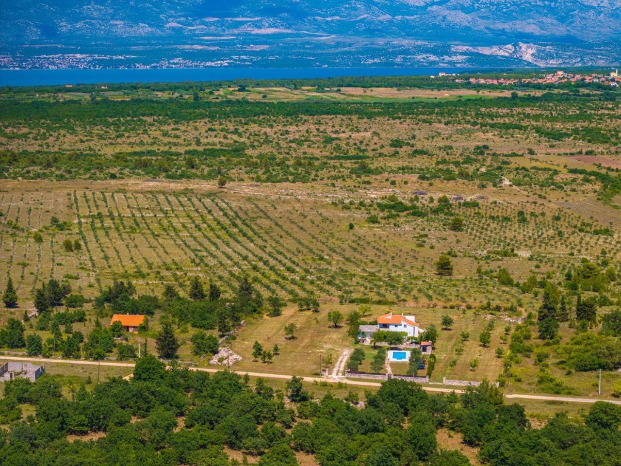 Villa Mandorla Zadar Bagian luar foto